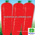 Chinese Hybrid Red Radish seeds for sale